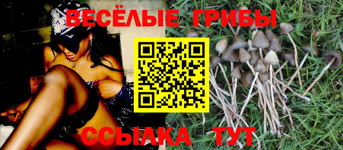 Сафоново  Галлюциногенные грибы GOLDEN TEACHER  Вход с VPN 