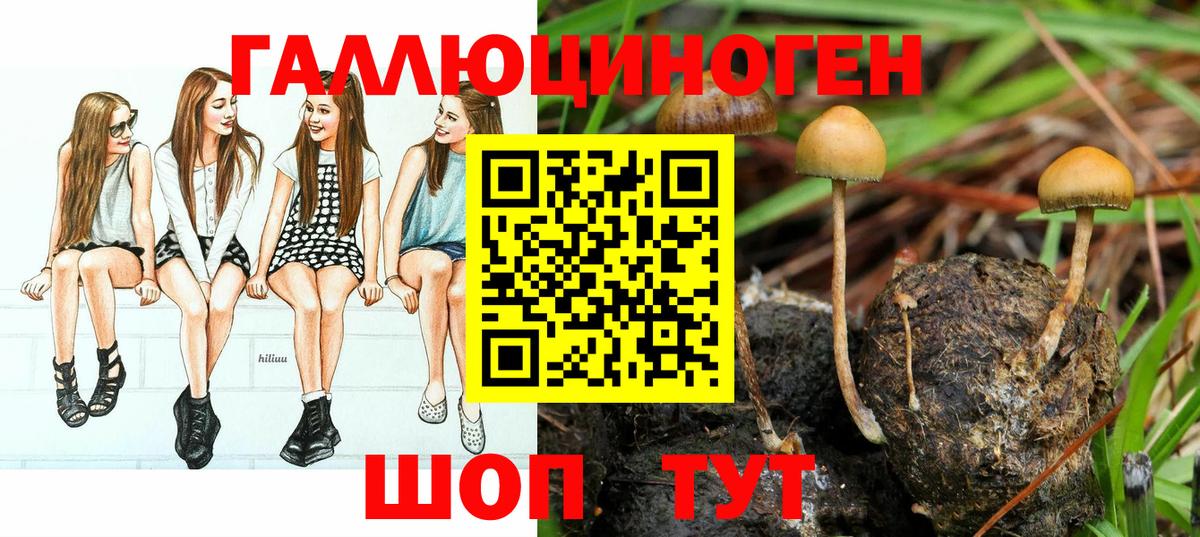 Галлюциногенные грибы прущие грибы Сафоново
